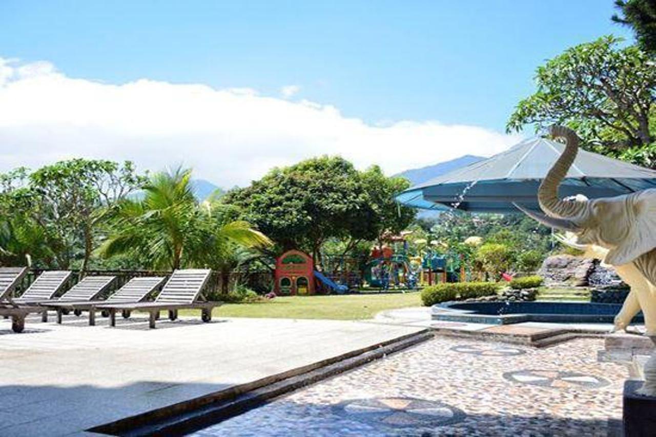 Seruni Gunung Salak